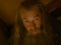 A first look at Smaug